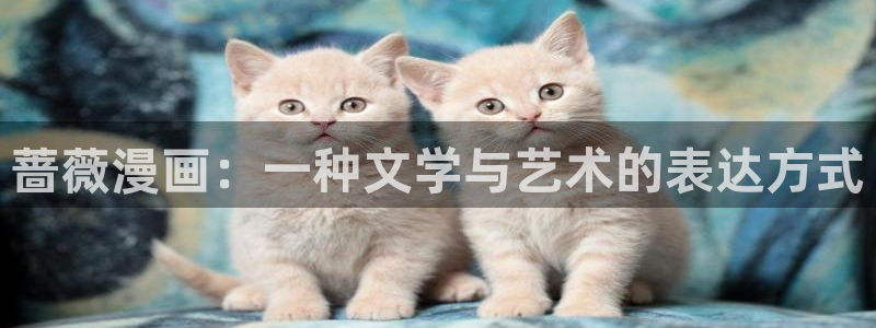 (下拉式)六漫画奇漫屋：蔷薇漫画：一种文学与艺术的表达方式