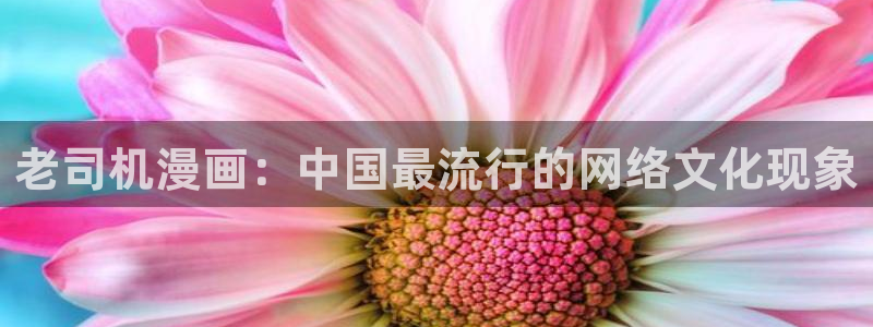 妖神记漫画免费全集下拉式漫画奇漫屋：老司机漫画：中国最流行的网络文化现象