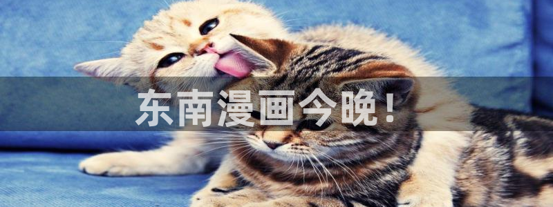 下载奇漫屋漫画：东南漫画今晚！