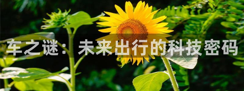 奇漫屋免费漫画在线观看：车之谜：未来出行的科技密码