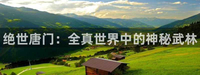 大王饶命漫画奇漫屋下拉式：绝世唐门：全真世界中的神秘武林
